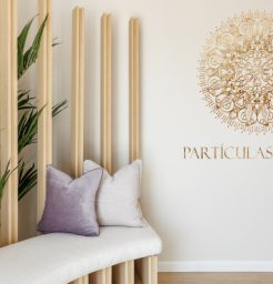 Partículas de Luz